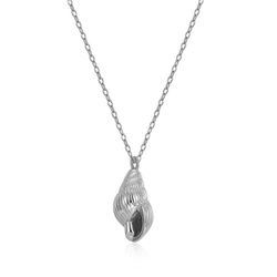 Collar Plata 38+5cm CO00507RH Concha