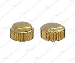 Corona Reloj Acero Dorado 242065 Sumergibles R90 Diámetro 5,00mm x 250mm Tubo (A)