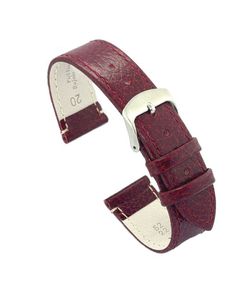 Correa Reloj Diloy Piel Burdeos 22mm CP000086.04.22