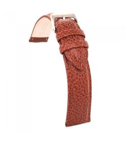 Correa Reloj Diloy Piel Marrón Claro 14mm CP000131.03.14