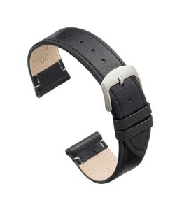 Correa Reloj Diloy Piel Negra 16mm CP0086EL.01.16