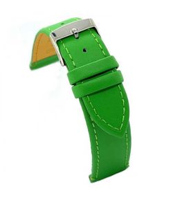 Correa Reloj Diloy Piel Verde 16mm CP0304EL.11.16