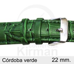 Correa Reloj Piel 22x80/120mm139115V Córdoba verde Cierre Hebilla