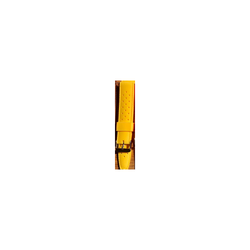 Correa Reloj WSS Silicón Amarillo 22mm AM0038-amarillo-22