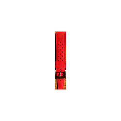 Correa Reloj Wss Silicón Rojo 20mm WSS722-rojo-20