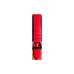 Correa Reloj Wss Silicón Rojo 22mm WSS714-rojo-22