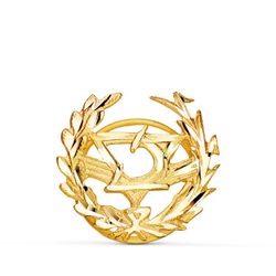 Insignia Oro 18kts 16x15mm 8580-OPT