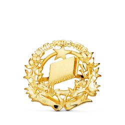 Insignia Oro 18kts 16x16mm 8580-NOT