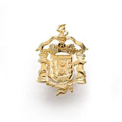Insignia Oro 18kts 20x14mm 16654