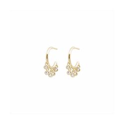Pendientes Bronce Dorado E15460GP Circonitas