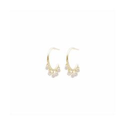 Pendientes Bronce Dorado E15461GP Circonitas