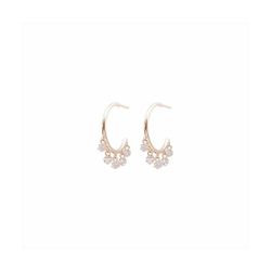 Pendientes Bronce Rosa E15461PP Circonitas