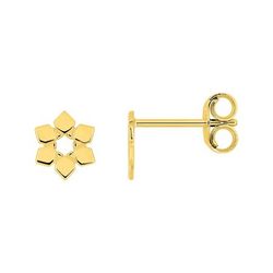 Pendientes Oro 9Kts Argyor MRM (9)297447.00 Estrella Hexagonal