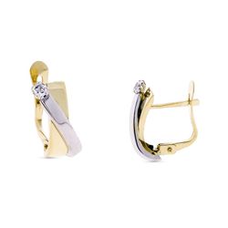 9kt Gold Bicolor Silver Earrings 14x6mm 9K21250 Zirconias