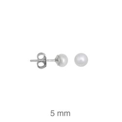 Pendientes Plata Argent Basic ARRVP25 Perlas
