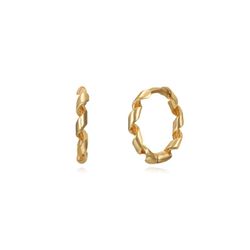 Arracades Plata Daurada 12mm PEL1057DOXX12 Cèrcol Trenat