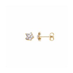 Pendientes Plata Dorada E04678GP Flor Con Circonitas