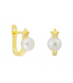 Pendientes Plata Dorada Liska BAM017A-D Circonitas Perlas