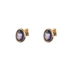 Pendientes Plata Dorada Mujer PEM0006DOAM Piedras Minerales Amatista