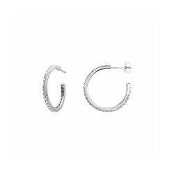 Pendientes Plata E15511 Circonitas