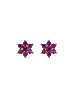 Pendientes Plata Mujer PPR 696/R Flor Circonitas Rosadas