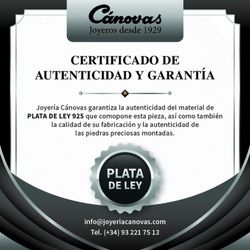 Pendientes Viceroy Mujer 9120E100-39 Plata Dorada