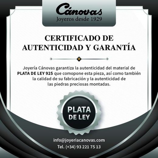 Viceroy Damenohrringe 9121E000-33 Silber