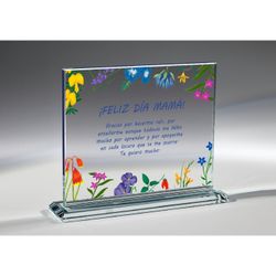 Placa Homenaje Cristal 24x19x1cm P-3005/1 Lisa