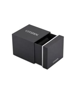 Citizen Herrenuhr BY1010-81L Titan