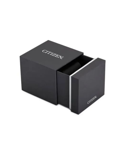 Citizen Herrenuhr BY1010-81L Titan