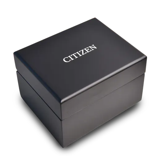 Reloj Citizen Mujer EM0504-81A Acero Esterilla