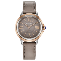 Reloj Citizen Mujer EM1166-01Z Piel ECO-PET Acero Eco-Drive Analógico Plateado Bicolor Rose