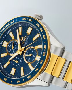 Reloj Marea Hombre B41407/3 Acero Bicolor Dorado