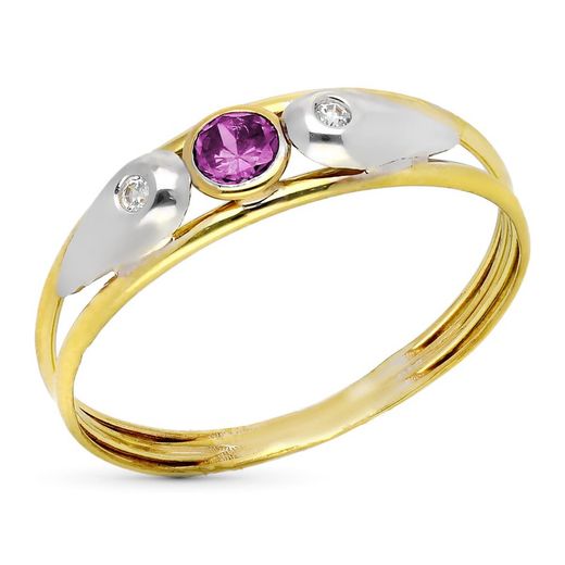 9kt Gold Ring, Two-tone Silver 9K14987-AT, Zirconia and Amethyst